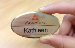 Design Insider Corporate Insignia photo3